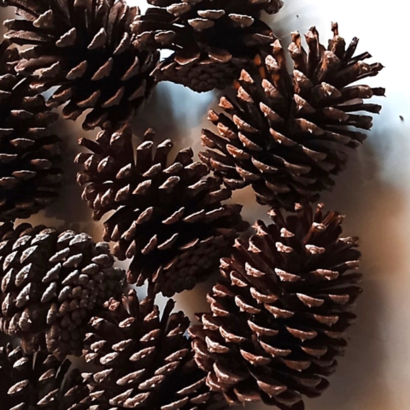 Natural Pine Cones For Crafts. Lot Of 60. 3" To 4" Tall. They're in Great Cond. - Picture 3 of 4